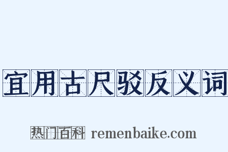 宜用古尺驳反义词是什么意思的图片